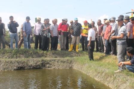   Bupati Suyatno Panen Raya Ikan di Kelurahan Bagan Barat